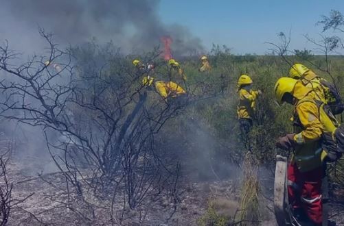 Combaten un incendio que afecta a 200 hectáreas en Neuquén | Clima, naturaleza y medio ambiente
