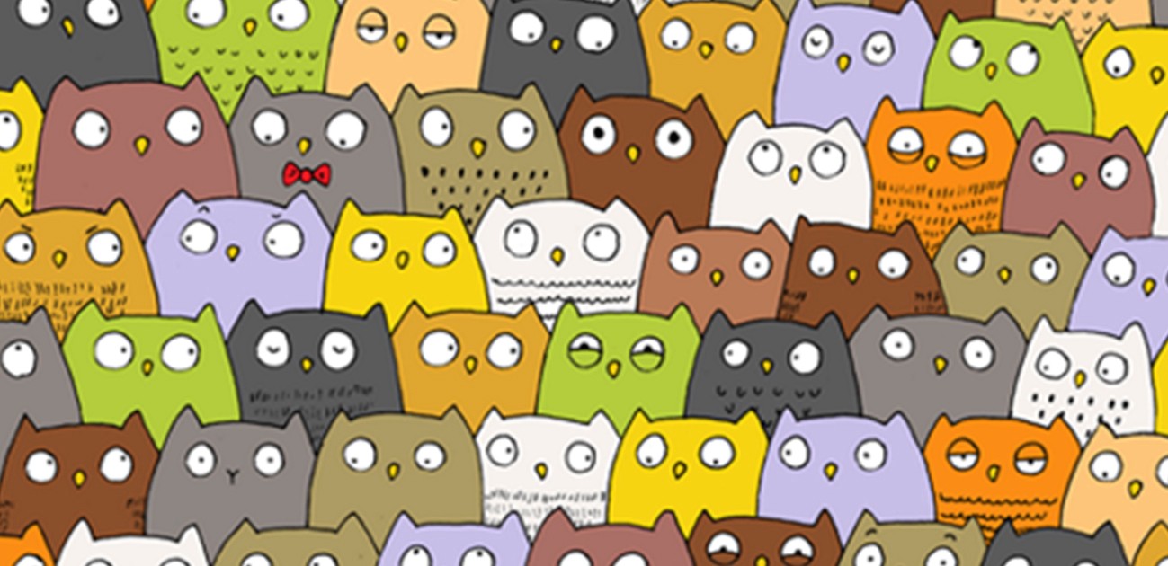 El increíble rescate de un gato atrapado entre dos paredes | Curiosidades