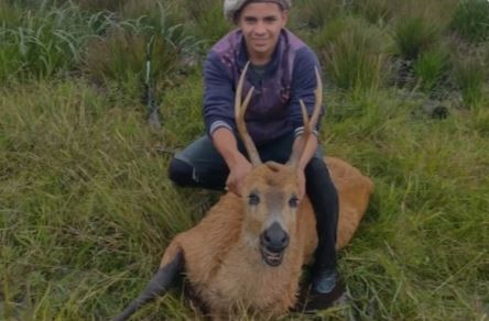 Investigan en Corrientes la cacería de un ciervo de los pantanos, monumento natural | Actualidad