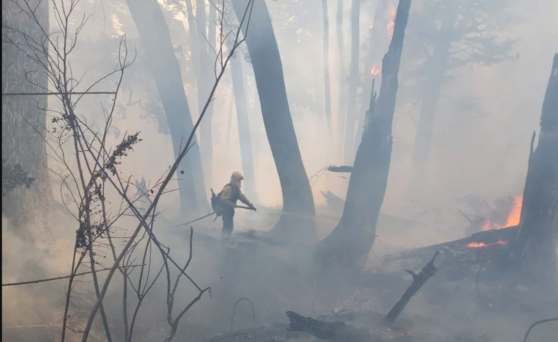 Buscan a los responsables del incendio en Bariloche: apuntan a un fogón que no fue apagado | Actualidad