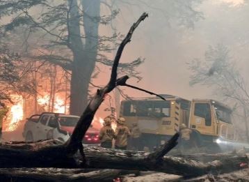 Ofrecen millonaria recompensa para obtener información sobre quién originó el incendio en el Parque Nacional Los Alerces | Actualidad