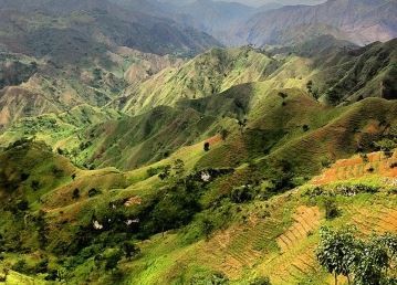 Misterio en Haití: hallaron muertos a 16 miembros de una familia e investigan si los envenenaron | Internacionales