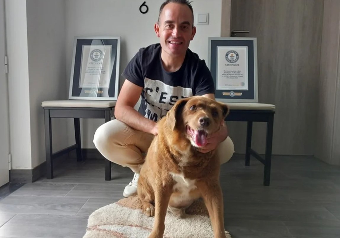 Le sacaron a Bobi el título del perro más longevo de la historia | Internacionales