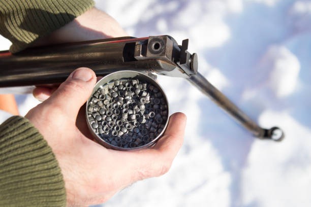 Manipulaba un rifle de aire comprimido, hirió en la cabeza a su hija de un año y fue detenido | Actualidad