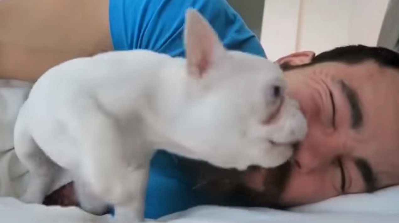 #EsViral: El despertador más tierno de todos | Curiosidades