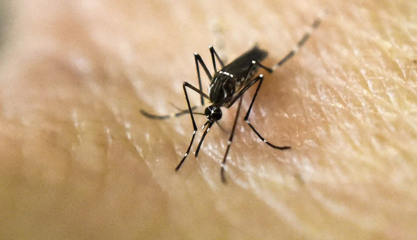 La Ciudad habilitó unidades de atención febril en 18 hospitales públicos para combatir el dengue | Actualidad