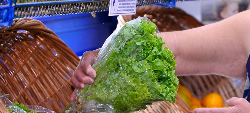 Por qué aumentó tanto la lechuga: ya cuesta más que el asado | Economía