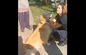 La Plata: denunciaron a una mujer que preguntó si podían “faenar” a su perro en una carnicería | Actualidad