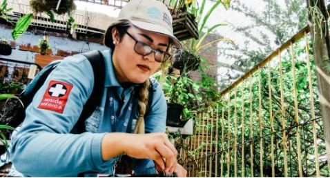 Wolbachia: el método con el que Colombia eliminó al dengue | Internacionales