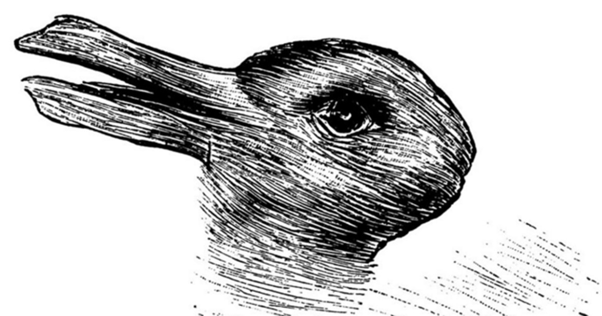 #EsViral: ¿qué animal ves en esta imagen? | Curiosidades