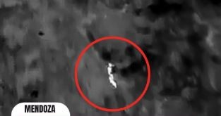 Gracias a un dron, rescataron de noche a un hombre y a su perro que se habían perdido en Mendoza | Actualidad