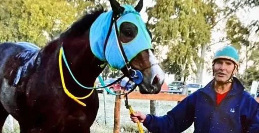 Envenenaron un caballo pura sangre en un stud y acusan a su cuidador | Actualidad