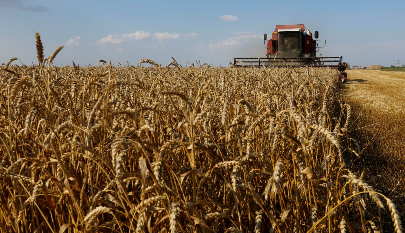 Se retrasa el ingreso de divisas por la soja: hasta ahora solo se vendió el 34% de la producción | Economía