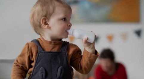 Programa "Complemento leche": hoy se pagan las diferencias no abonadas | Economía