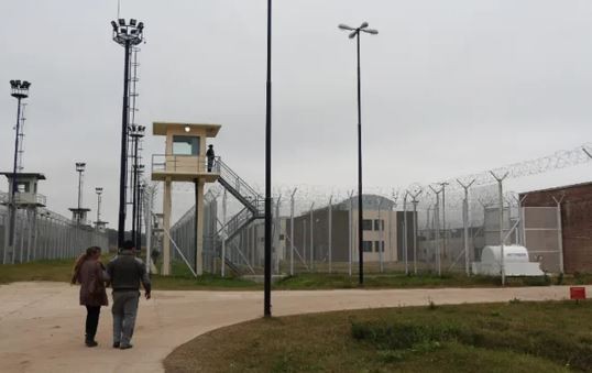 Un preso creó una aplicación, pidió prisión domiciliaria para desarrollarla y se la quiere mostrar a Milei | Actualidad