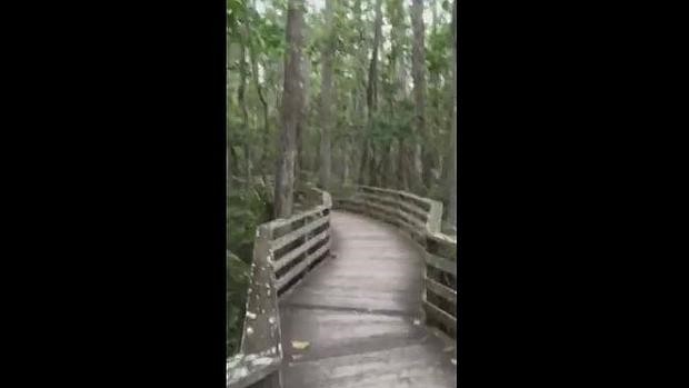 El inesperado encuentro de una mujer durante un paseo que aterroriza a Facebook | Curiosidades