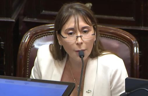 "Enfermo mental": la polémica frase de una senadora kirchnerista contra Milei | Política