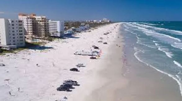 Tres personas fueron atacadas por tiburones en Florida y Texas | Internacionales