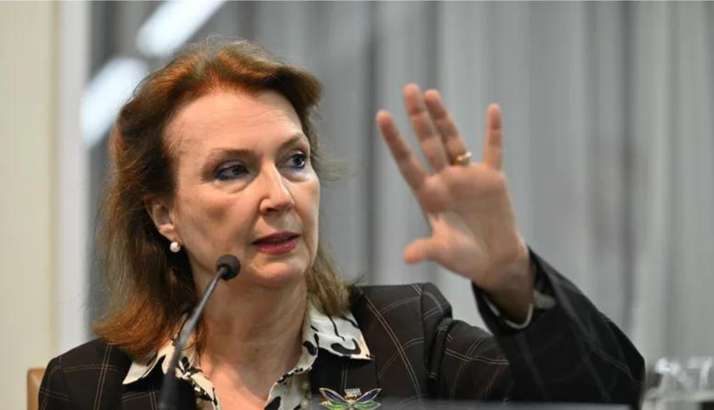 "Maduro, reconozca la derrota": duro mensaje de la canciller Mondino por las elecciones en Venezuela | Internacionales