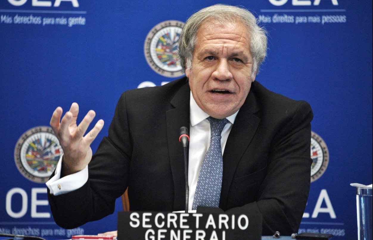 La OEA denunció la "manipulación más aberrante" en las elecciones presidenciales de Venezuela | Internacionales