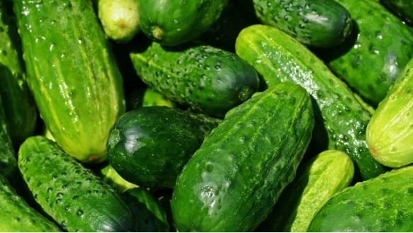 Preocupación por brote de salmonela en Estados Unidos | Internacionales