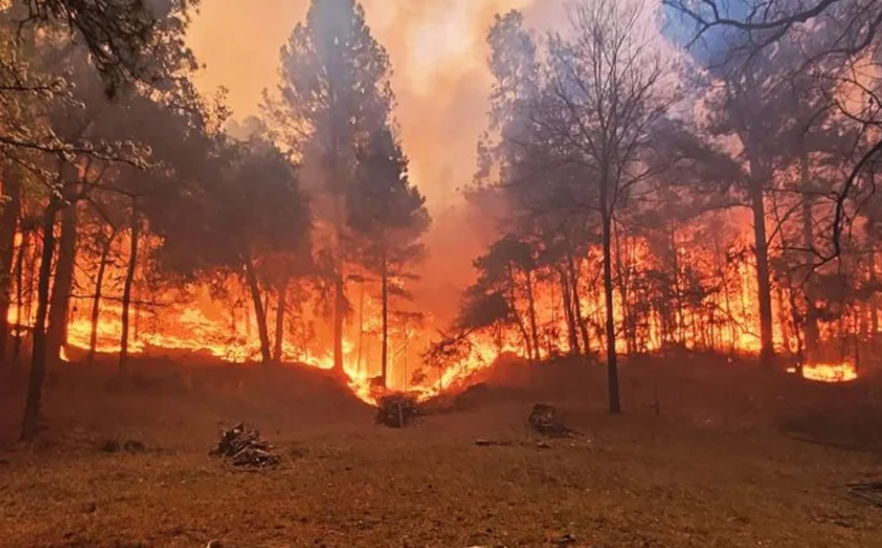 Detuvieron a un vecino de Calamuchita por los incendios forestales | Actualidad