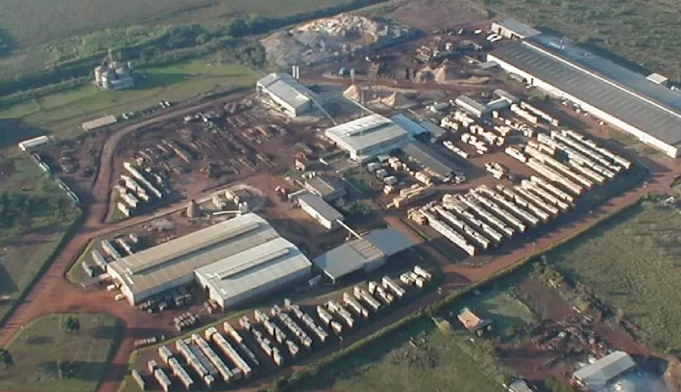 El aserradero más grande del país bajó la persiana y 70 familias quedaron en la calle | Economía