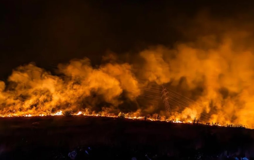Los incendios forestales en la región occidental de Paraguay arrasaron más de 84.000 hectáreas | Clima, naturaleza y medio ambiente