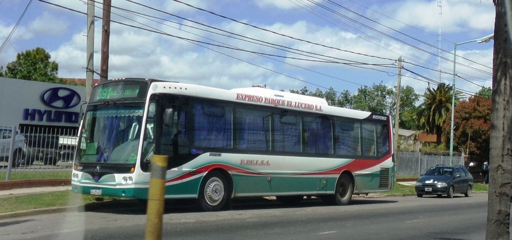 Horror en José C. Paz: le cortaron los dedos a un colectivero con un machete para robarle | Actualidad