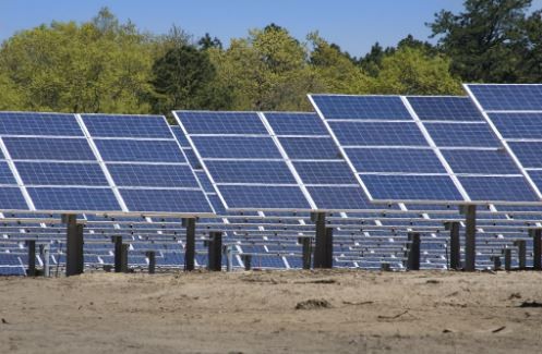 Al revés: empresarios le piden a la ONU cumplir objetivos de Energías Renovables | Internacionales