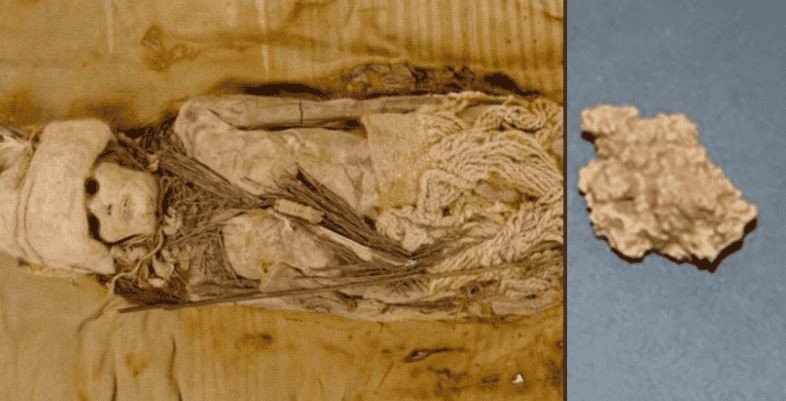 El queso más antiguo del mundo fue hallado en momias chinas de 3500 años | Internacionales