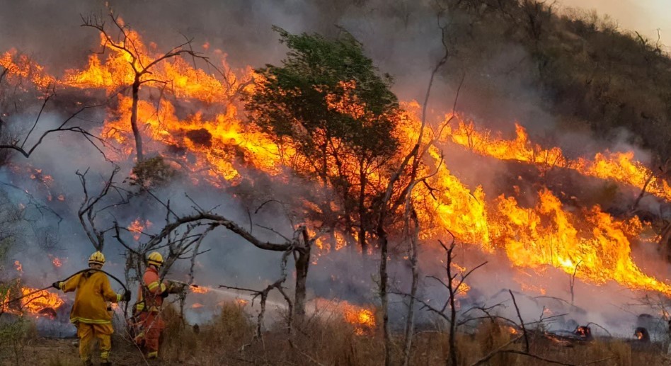 Incendios en Córdoba: el Senado aprobó la emergencia ambiental por 180 días | Política