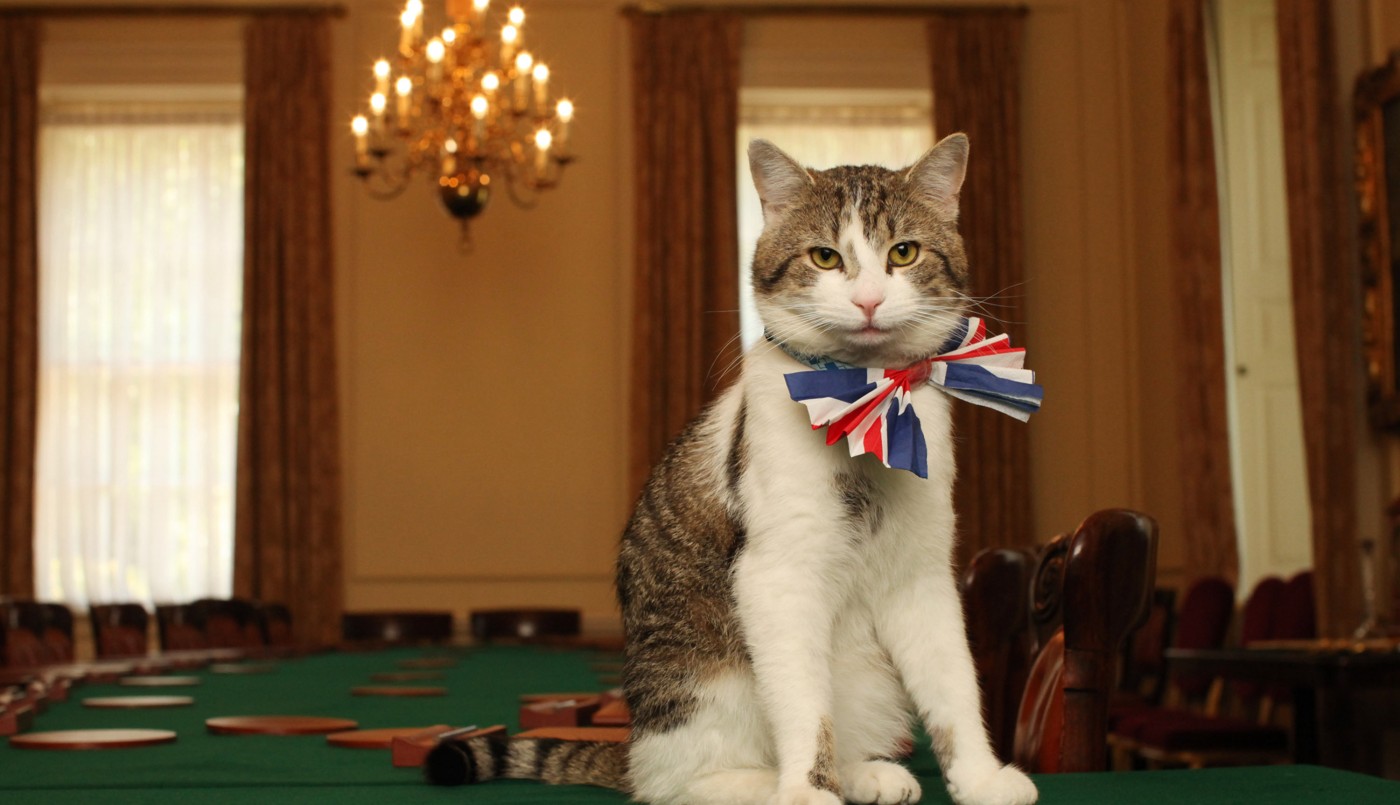 David Cameron se va pero deja a su gato Larry en la sede del gobierno británico en Downing Street | Curiosidades