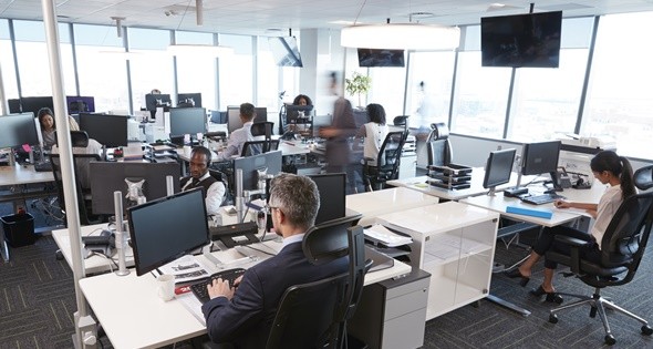 El 51% de los profesionales argentinos está disconforme con su sueldo | Economía