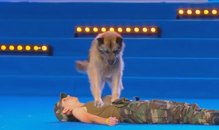 Video: Arrasa con todos los premios el perro italiano que sabe hacer RCP | Curiosidades