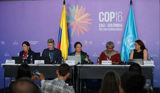 Con histórico reconocimiento a pueblos indígenas y comunidades afrodescendientes terminó la COP16 en Colombia | Internacionales