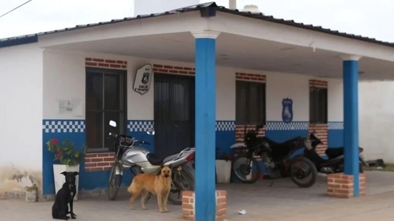 Jujuy: discutió con su sobrino, lo atacó con un arma y se fugó | Actualidad