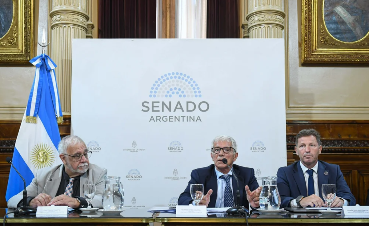 Cúneo Libarona: "Se creó una concepción hipócrita de que la mujer no miente" | Política