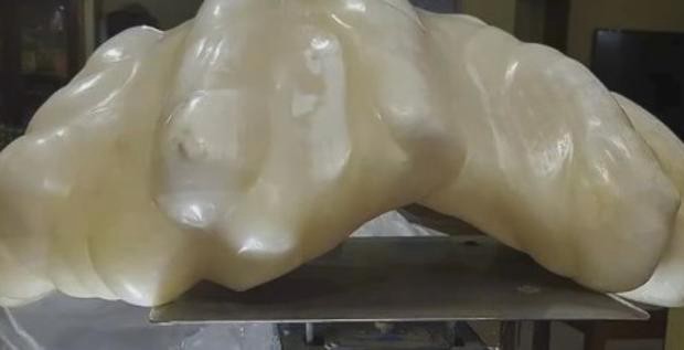 El hombre que pescó la perla más grande del mundo y no sabía que era millonario | Curiosidades