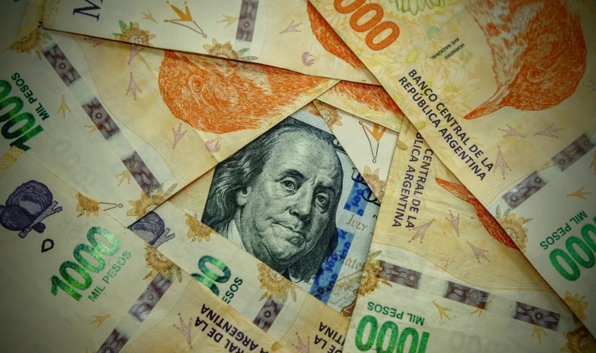 El peso argentino es la moneda que más se apreció en el mundo en 2024 | Economía