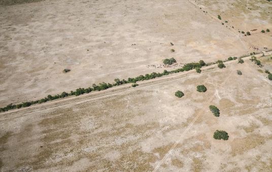 Declaran la emergencia agropecuaria en Santa Fe por la sequía | Clima, naturaleza y medio ambiente