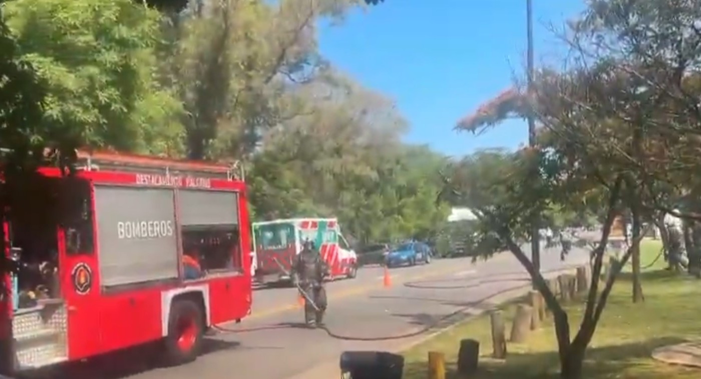 Susto por un incendio en el Campo Municipal de Golf de Palermo | Actualidad
