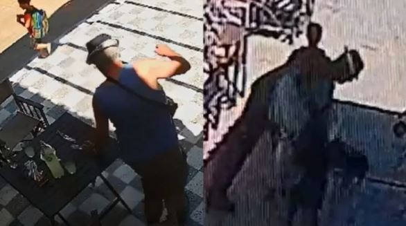 Horror en San Juan: un hombre mató a un perro a cuchillazos | Actualidad