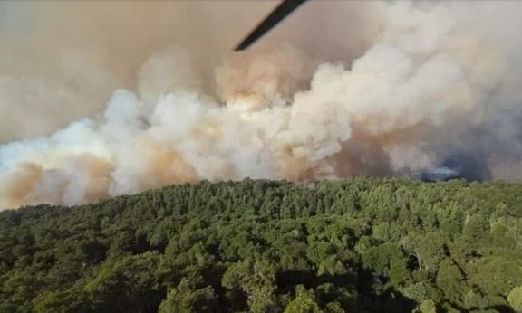 Incendio en el Parque Nacional Nahuel Huapi: ya se consumieron más de 1.800 hectáreas | Clima, naturaleza y medio ambiente
