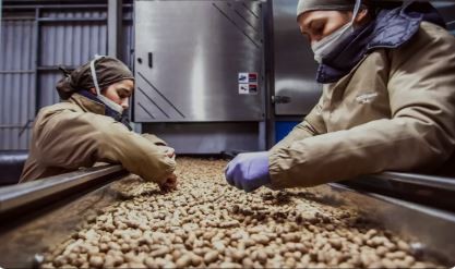 Las exportaciones de economías regionales aumentaron un 31,9% | Economía