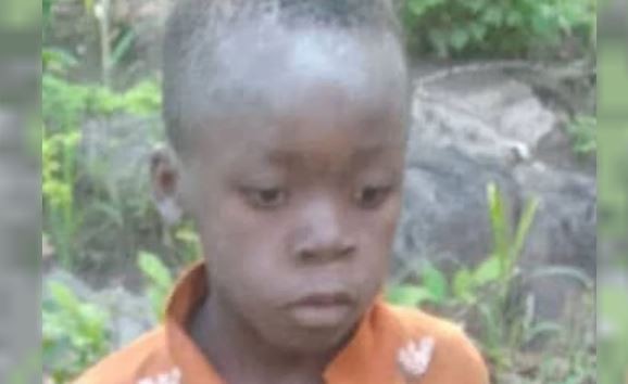 África: un nene de siete años sobrevivió cinco días en un Parque Nacional rodeado de leones y elefantes | Internacionales