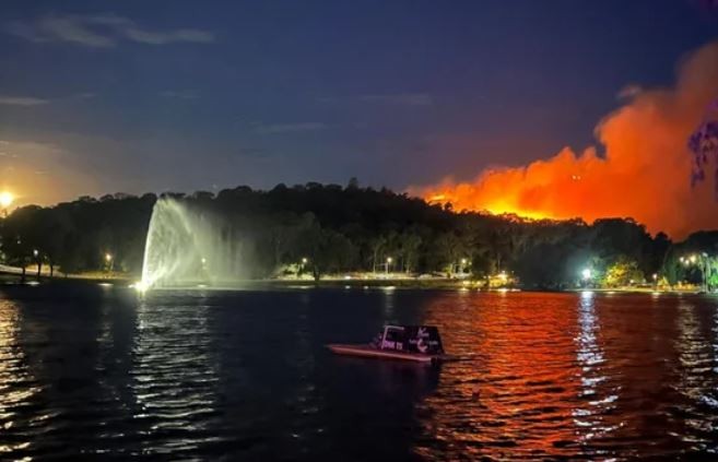 Tandil en alerta por un devastador incendio forestal en el Cerro de la Cruz | Clima, naturaleza y medio ambiente