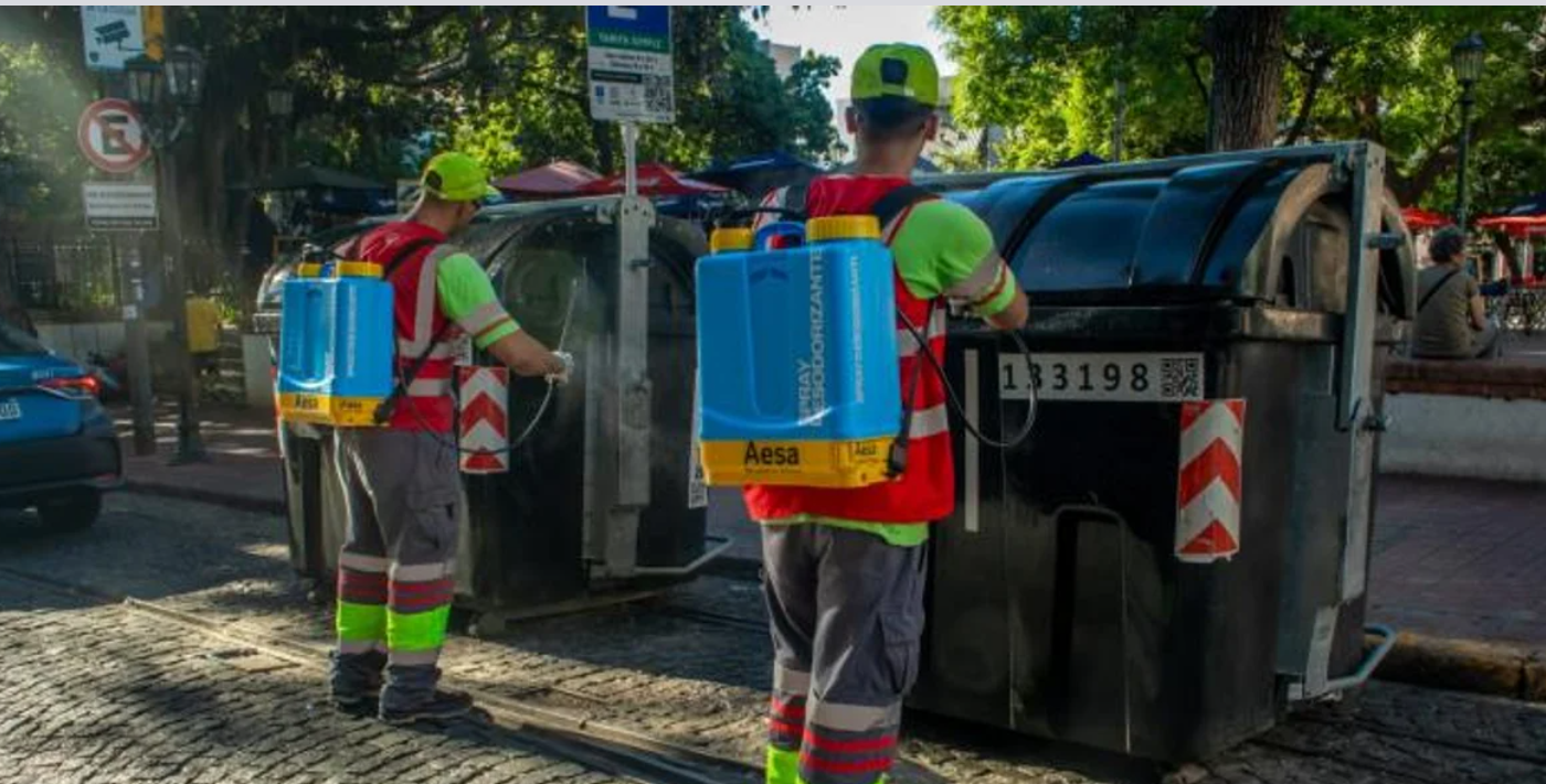 Para evitar el mal olor, en la Ciudad rocían contenedores de basura con fragancia a limón | Actualidad