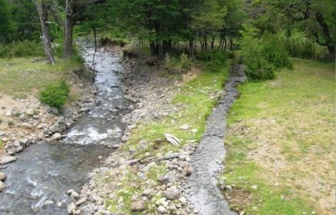 Argentina sorprendente: un arroyo une dos océanos | Clima, naturaleza y medio ambiente