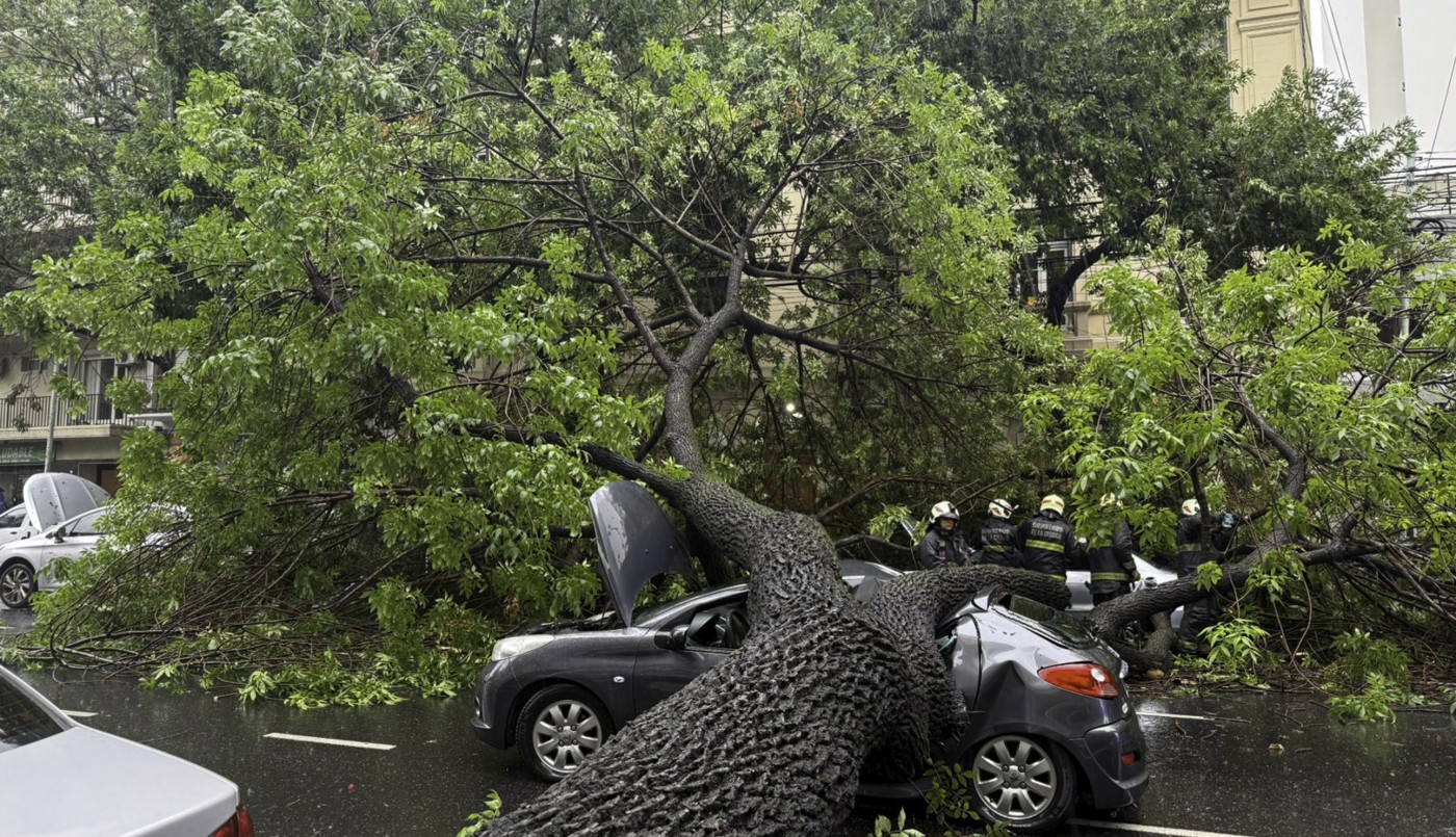Almagro: un árbol cayó durante el temporal, aplastó varios autos y hay cuatro heridos | Actualidad